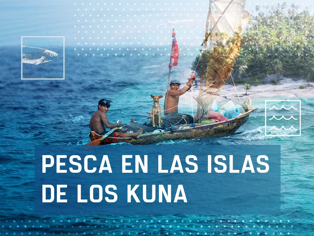 Pesca en las islas de los Kuna, en Caza y Pesca | Movistar Plus+