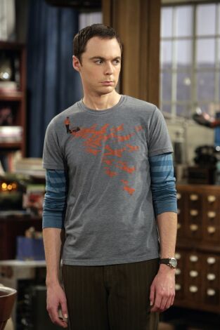 The Big Bang Theory. T(T2). The Big Bang Theory (T2): Ep.12 La inestabilidad del robot asesino