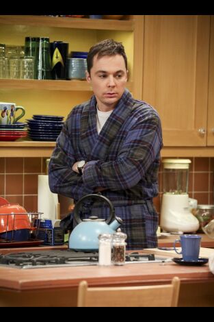 The Big Bang Theory. T(T10). The Big Bang Theory (T10): Ep.20 La disipación de los recuerdos