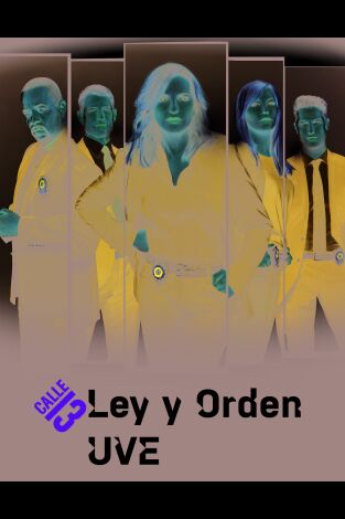 Ley y orden: unidad de Víctimas Especiales. T(T20). Ley y orden: unidad de Víctimas Especiales (T20)