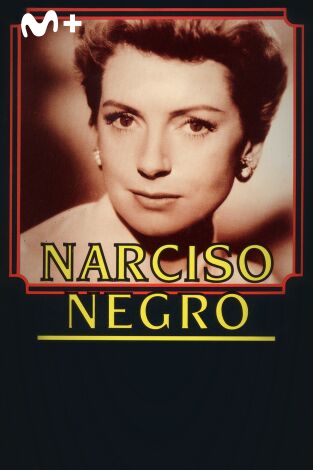 Narciso negro