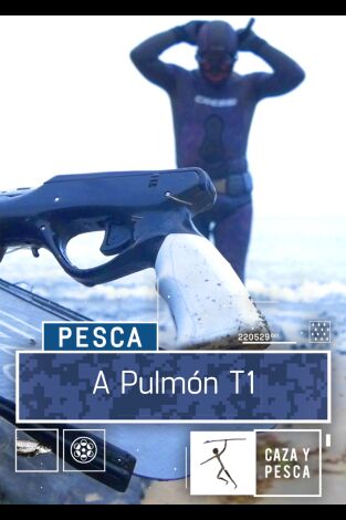 A Pulmón. T(T1). A Pulmón (T1)