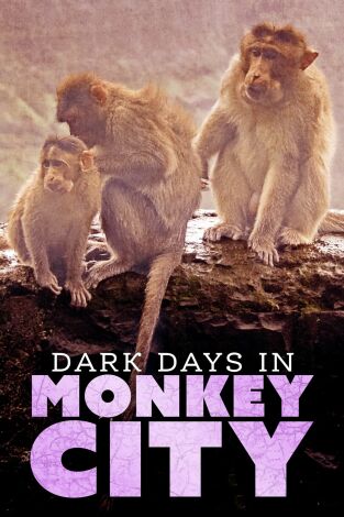 Monkey City. Monkey City: Nacido en la tormenta