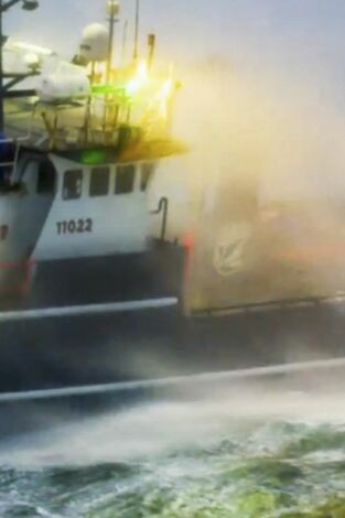 Pesca radical. Pesca radical: Ola gigantesca