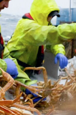 Pesca radical. Pesca radical: El fin del principio