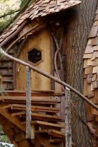 Mi casa en un árbol. T(T3). Mi casa en un árbol (T3): Colmena en los árboles