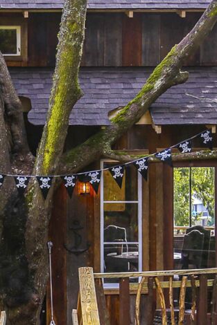 Mi casa en un árbol. T(T3). Mi casa en un árbol (T3): Escondite para piratas en los árboles