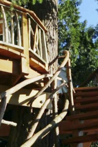 Mi casa en un árbol. T(T3). Mi casa en un árbol (T3): Internacional