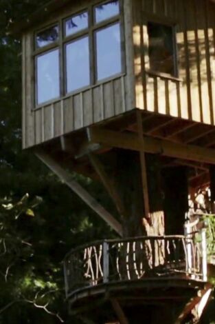 Mi casa en un árbol. T(T2). Mi casa en un árbol (T2): Refugio en las secoyas