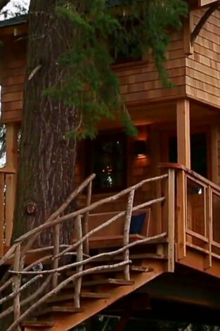 Mi casa en un árbol. T(T5). Mi casa en un árbol (T5): Casa en un árbol 2.0