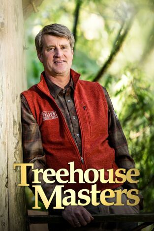 Mi casa en un árbol. T(T6). Mi casa en un árbol (T6): Casa en forma de lechuza