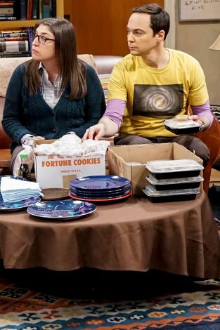The Big Bang Theory. T(T12). The Big Bang Theory (T12): Ep.8 La desviación de la consumación