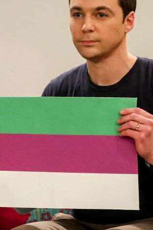 The Big Bang Theory. T(T12). The Big Bang Theory (T12): Ep.13 La polarización de la confirmación