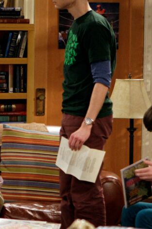 The Big Bang Theory. T(T3). The Big Bang Theory (T3): Ep.16 La adquisición excelsior