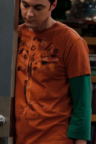 The Big Bang Theory. T(T4). The Big Bang Theory (T4): Ep.17 La derivación de un brindis