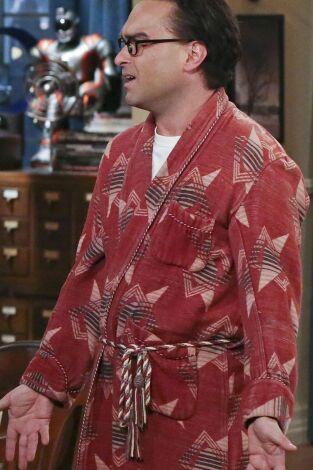 The Big Bang Theory. T(T9). The Big Bang Theory (T9): Ep.2 La oscilación de la separación