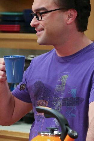 The Big Bang Theory. T(T9). The Big Bang Theory (T9): Ep.7 La resonancia de Spock