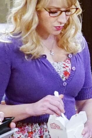 The Big Bang Theory. T(T9). The Big Bang Theory (T9): Ep.9 La permutación platónica