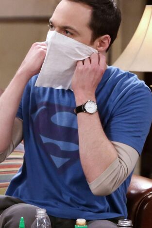 The Big Bang Theory. T(T9). The Big Bang Theory (T9): Ep.12 La sublimación de la venta