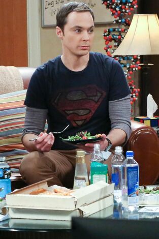 The Big Bang Theory. T(T9). The Big Bang Theory (T9): Ep.13 La optimización de la empatía