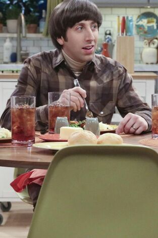The Big Bang Theory. T(T9). The Big Bang Theory (T9): Ep.14 La materialización de la abuelita