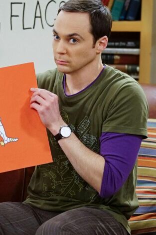 The Big Bang Theory. T(T9). The Big Bang Theory (T9): Ep.15 La inmersión de Valentino