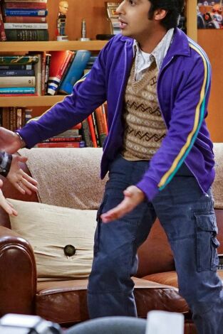 The Big Bang Theory. T(T9). The Big Bang Theory (T9): Ep.16 La reacción positivo-negativa
