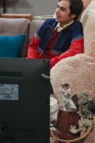 The Big Bang Theory. T(T9). The Big Bang Theory (T9): Ep.20 La precipitación del oso gigante
