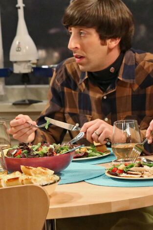 The Big Bang Theory. T(T8). The Big Bang Theory (T8): Ep.9 La desviación del tabique