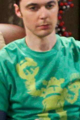 The Big Bang Theory. T(T5). The Big Bang Theory (T5): Ep.1 Análisis del reflejo de golfa