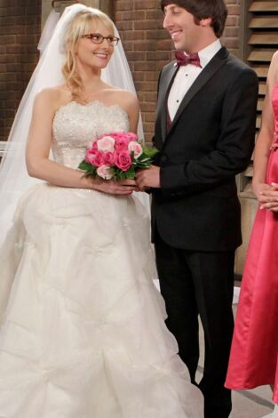 The Big Bang Theory. T(T5). The Big Bang Theory (T5): Ep.24 La reflexión de la cuenta atrás