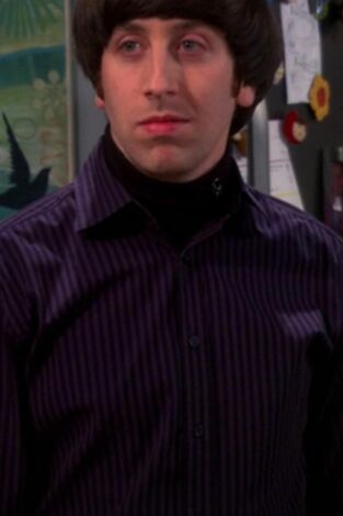 The Big Bang Theory. T(T6). The Big Bang Theory (T6): Ep.19 La reconfiguración del armario