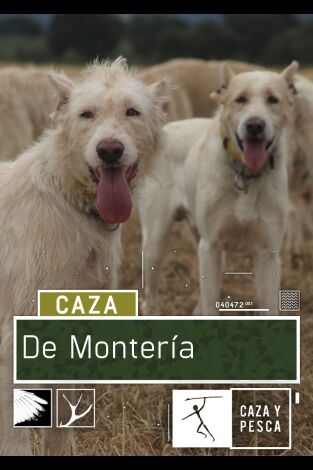 De montería. T(T2). De montería (T2): Ep.16