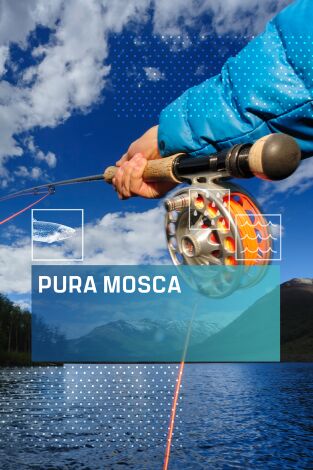 Pura mosca