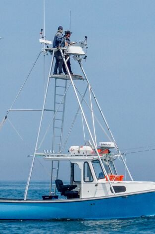 Pesca con arpón. Pesca con arpón: Pez para terminar
