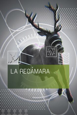 A Câmara