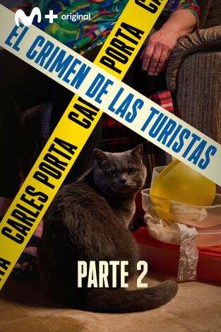 Luz en la oscuridad. Luz en la oscuridad: El crimen de las turistas II