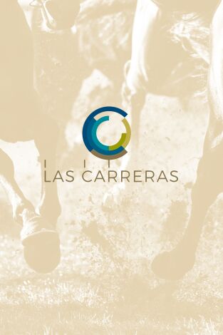 Carreras de Caballos- Turf. T(2025). Carreras de... (2025): 18/06/2025 Hipódromo de San Sebastián