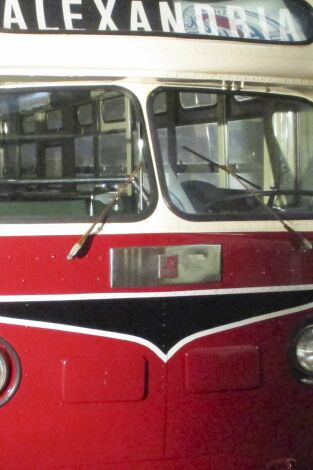 Misterios en el museo. T(T15). Misterios en el... (T15): Monstruo de Flatwoods