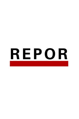 Repor. T(T2025). Repor (T2025): El retorno del reo