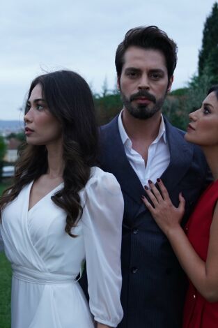 Bahar. T(T1). Bahar (T1): Ep.86 