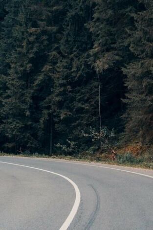 Campeonato de España de ciclismo. T(2025). Campeonato de España (2025): Ruta F