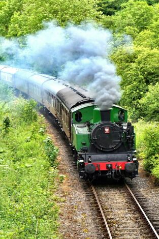 Cómo los trenes cambiaron el mundo. Cómo los trenes...: Trenes con nombre propio