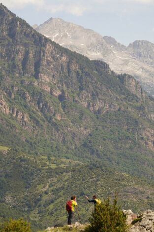 80 cm. T(T5). 80 cm (T5): Serranía de Cuenca