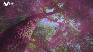 El futuro de la naturaleza. El futuro de la naturaleza: Océanos