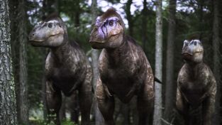 Caminando entre dinosaurios. Caminando entre...: El Lusotitan en la Península Ibérica