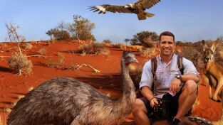 Superviviente por naturaleza. Superviviente por...: Náufragos en una isla