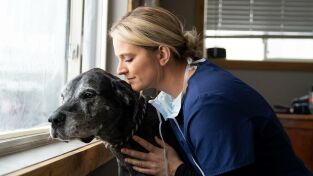 Veterinarios de Nebraska. T(T3). Veterinarios de... (T3): Celebración en Nebraska