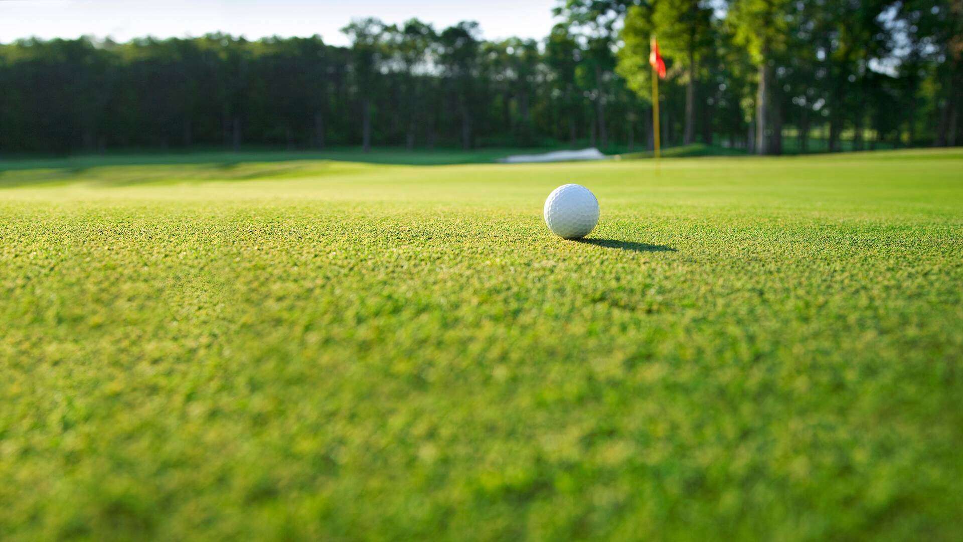 Sueños de Golf (2019): Leadbetter, el primer gurú