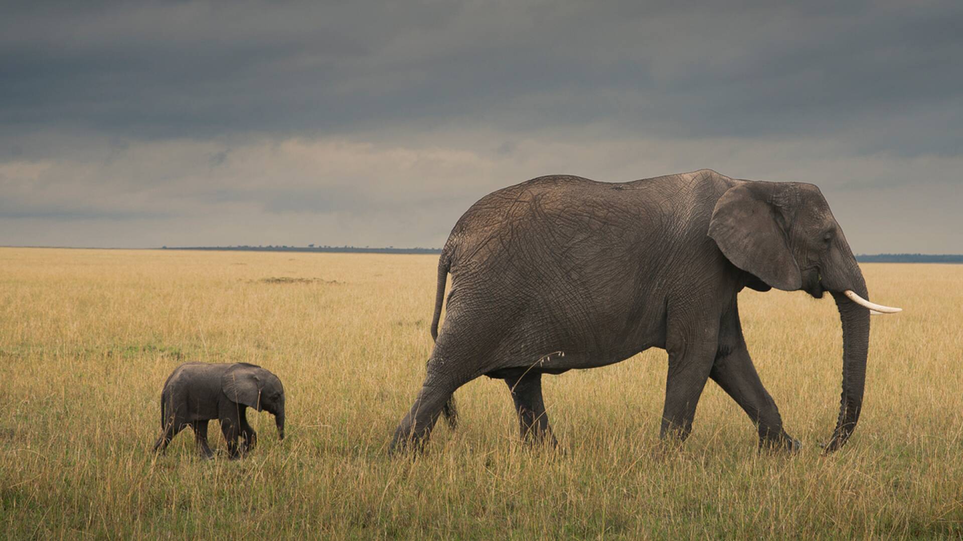 Botswana a Zambia una ruta salvaje